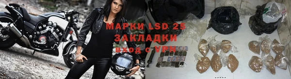 мдпв Заводоуковск