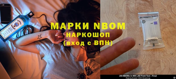 мдпв Заводоуковск