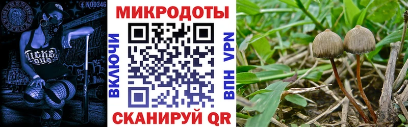 Купить  Кораблино  Галлюциногенные грибы GOLDEN TEACHER 